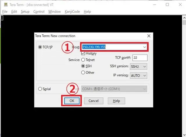 teraterm ip入力